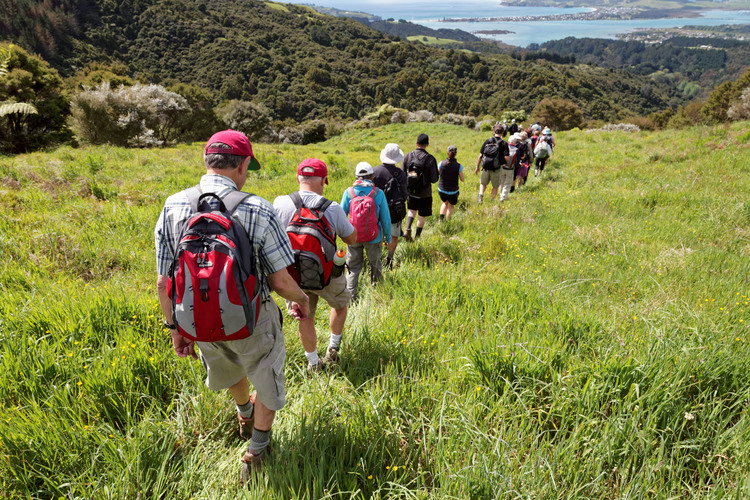 Voice of the visitor to guide new walks partnership