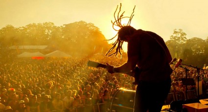 Big Pineapple Music Festival co-exists with Queensland Zoo animals