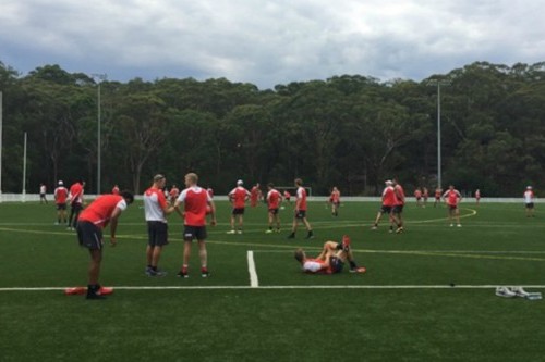 Sydney Swans put artificial turf to the test in pre-season training