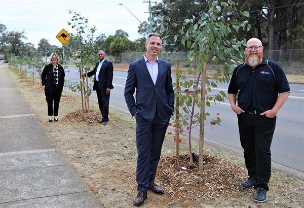Blacktown City becomes greener with tree planting program