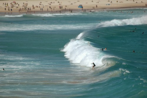 Bondi Beach dedicated as a National Surfing Reserve