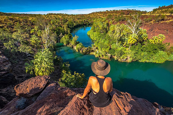 Leading environmental groups welcome Queensland Government’s strategy to protect national parks