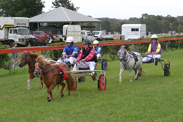 Country shows to resume in NSW