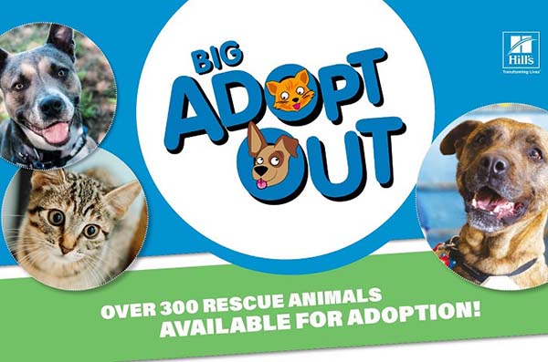 Brisbane Showgrounds hosts Australia’s biggest animal adoption event