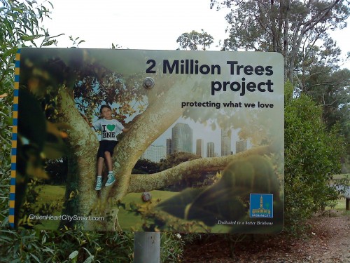 Brisbane City Council plants 2.5 million trees since 2007