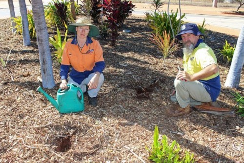 Thieves target Broome’s tropical gardens for exotic plants