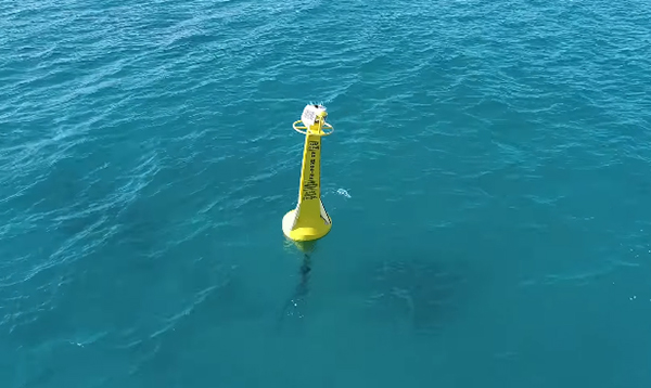 Two new-generation shark monitoring receivers deployed at Western Australia’s Bunker Bay