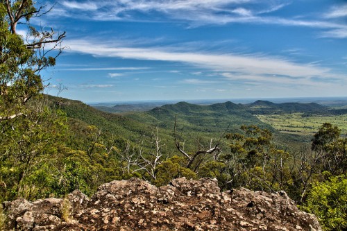 Rare grassland and other significant habitats added to Bunya Mountains National Park
