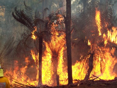 Bushfire information kits for tourism businesses