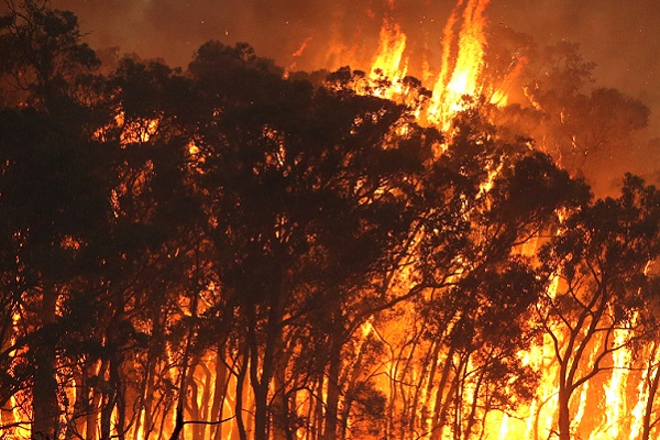 Tourism Australia looks to reassure visitors with information on bushfire impacts