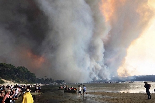 Catastrophic bushfires impact industry identities