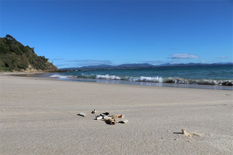 Byron Shire Council cleans up beaches with litter blitz