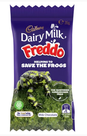 Cadbury partners with Taronga to help save the Northern Corroboree Frog