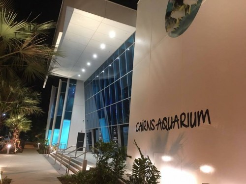 New Cairns aquarium gets official opening
