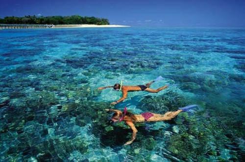 Another tourist dies on Great Barrier Reef excursion