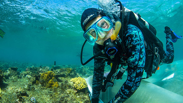 Great Barrier Reef Foundation announces Australia’s first integrated Reef Restoration Hub