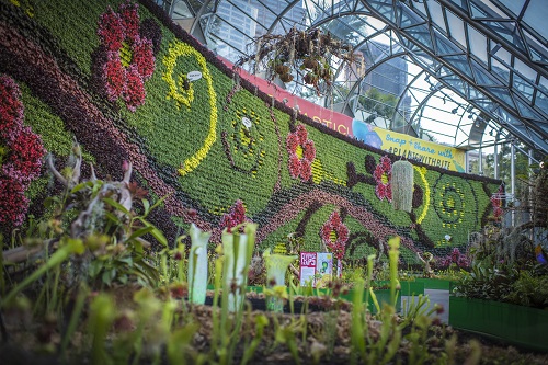 Plants with bite display launched in The Calyx at the Royal Botanic Garden Sydney