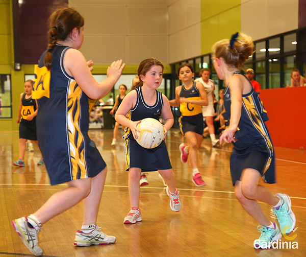Cardinia Shire Council opens applications for new Women and Girls Sport Participation Network.
