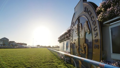 New management to guide future of Caulfield Racecourse Reserve