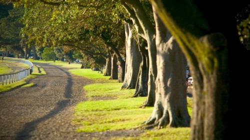 Centennial Parklands gains world-class recognition with Green Flag Award