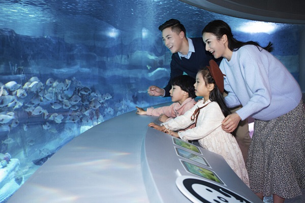 Immersive Octopod attraction opened at SEA LIFE Shanghai