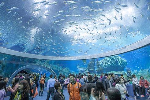 Aquarium at Chimelong Ocean Kingdom confirmed as world’s largest