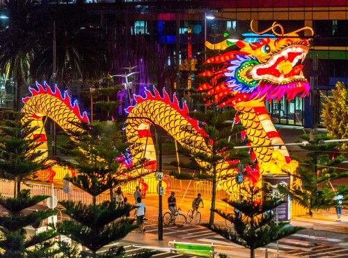 Massive dragon brought to life in Melbourne for Chinese New Year celebrations