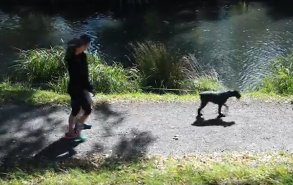 Christchurch Council releases video on park safety during COVID-19