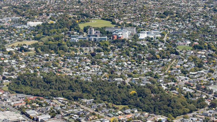 Aerial imagery deployed to identify extent of Christchurch tree canopy ahead of Urban Forest Plan