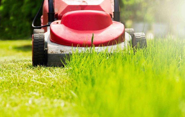 Christchurch City Council prepares for higher workloads for parks and sports field maintenance