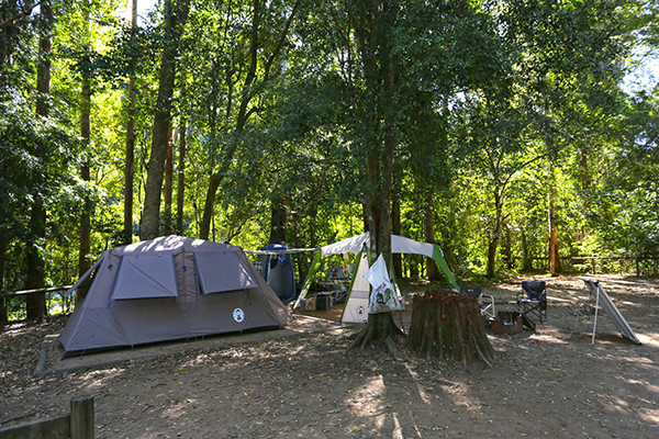 Popular Sunshine Coast camping area set for multi-million upgrade