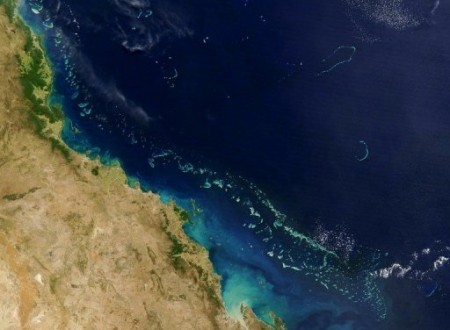 Great Barrier Reef tourism operators consider implications of coal port spoil dumping