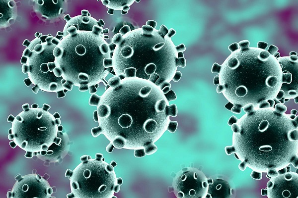 Recreation Aotearoa launches dedicated Coronavirus website