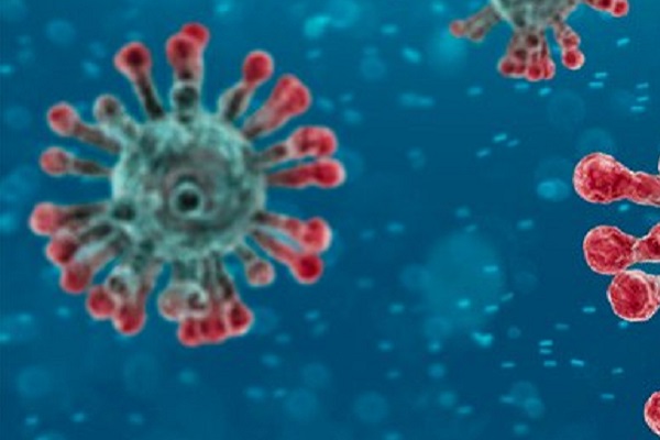 Swim schools concerned about Coronavirus