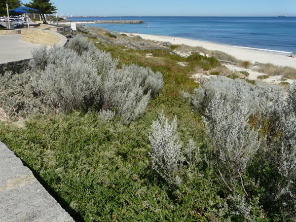 $18.5 million allocated to protect Western Australia’s coastline