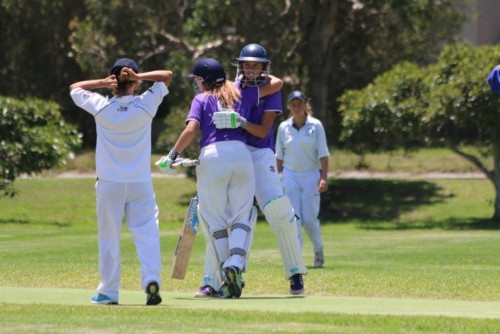 Cricket Australia looks to transform junior game to attract new participants