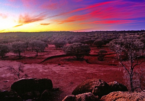 Queensland National Parks Minister announces significant expansion of protected area estate