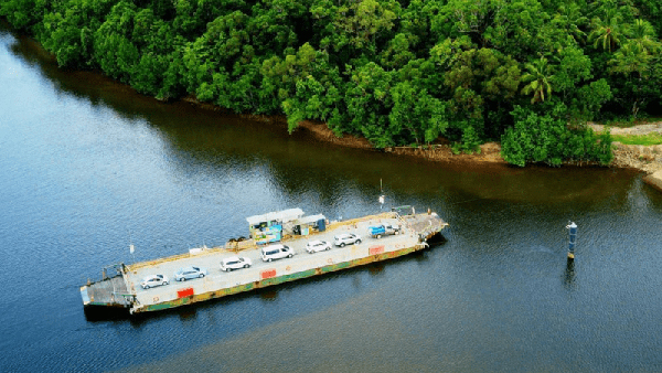 Ferry fees waived for Daintree Day Tour Operators