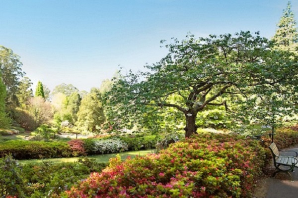 Victorian Government increases funding for Botanic Gardens