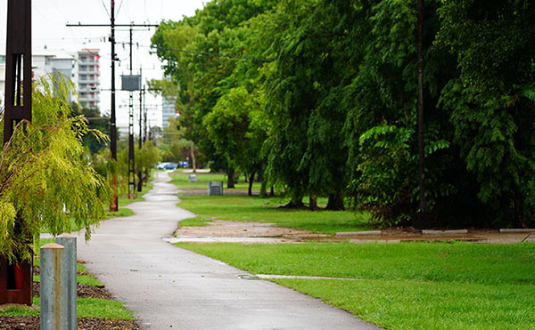 City of Darwin looks for sustainable research projects to help improve urban forest