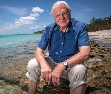 Tourism Australia backs Sir David Attenborough Great Barrier Reef documentary project