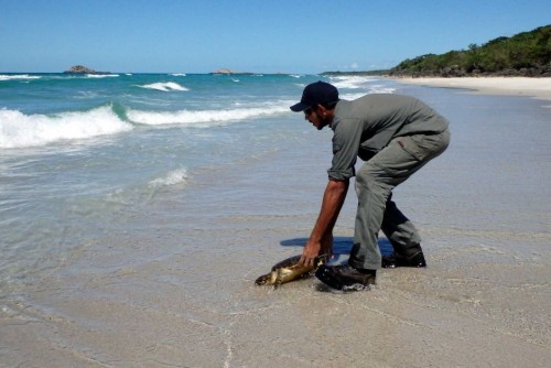 Indigenous rangers lobby for more positions