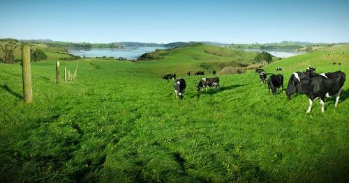 New Zealand farming leaders pledge to make all rivers swimable