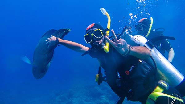 Australian Marine Conservation Society decries Queensland government’s decision to move forward with Palmer mine proposal