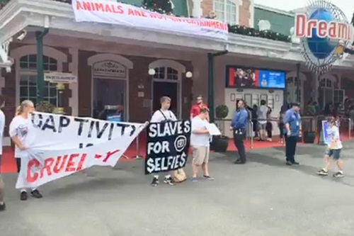 Activists target Dreamworld in ongoing animal rights protest