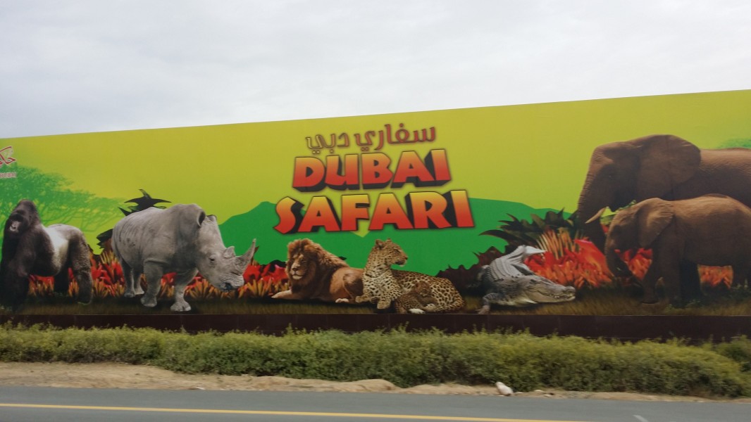 Animals set for Dubai Safari Park move