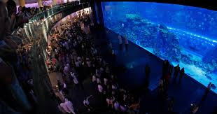 Dubai Aquarium and Underwater Zoo hosts tour for membership cardholders