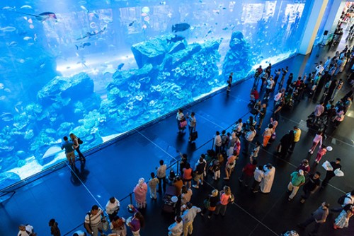 Dubai Mall reopens after aquarium leak