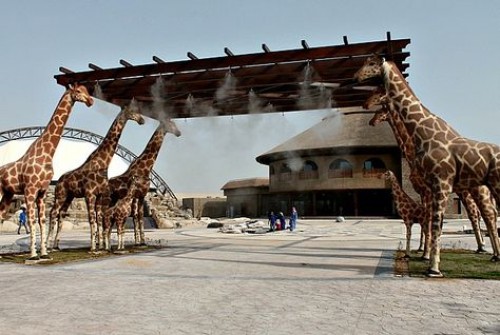 Dubai Safari Park ready to open in three months