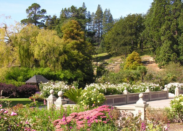 Botanic Gardens rated students’ favourite Dunedin City Council service